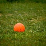 A vibrant orange soccer ball resting on a grass field, perfect for outdoor sports.